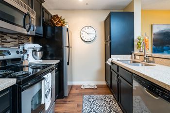 Sleek Stainless Steel Appliances at Madison Druid Hills, Georgia, 30329